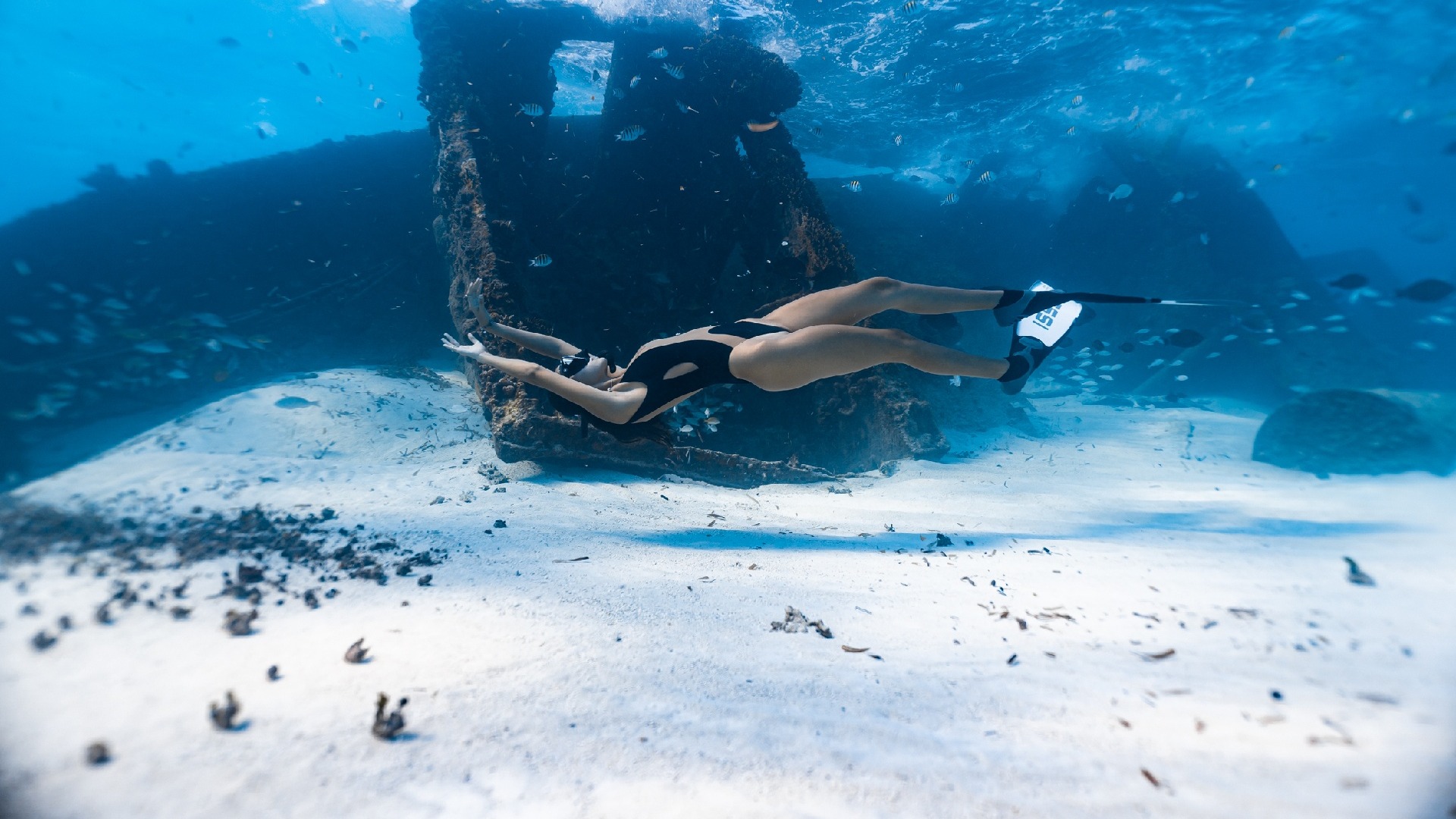 Cancun Sailing promociones para Cancunenses