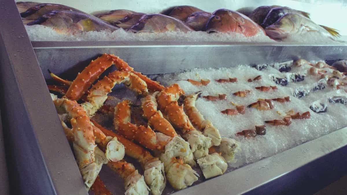 24-bar-bella-isla-mujeres-beach-clubs