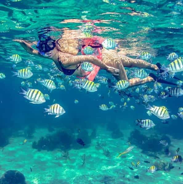 Mergulho no recife de Isla Mujeres