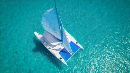 2 Low Res Kraken vista Cenital