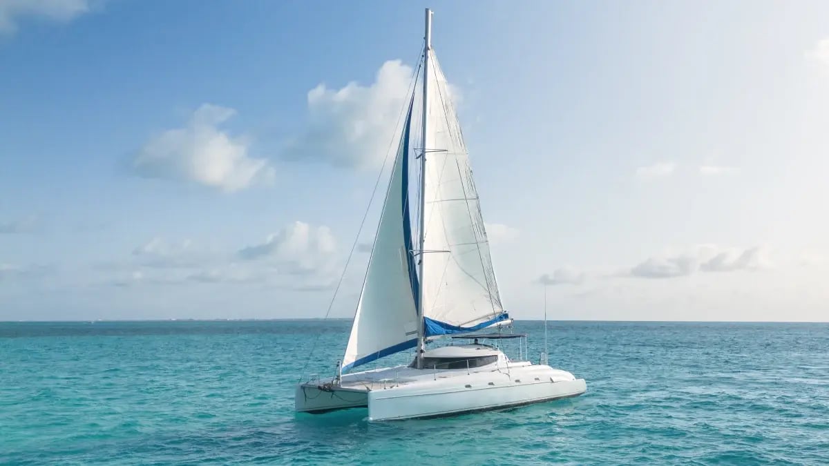 morrocoy full shot (1)