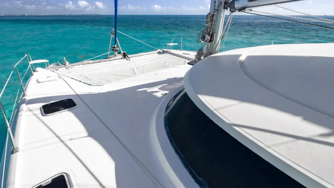 Morrocoy proa