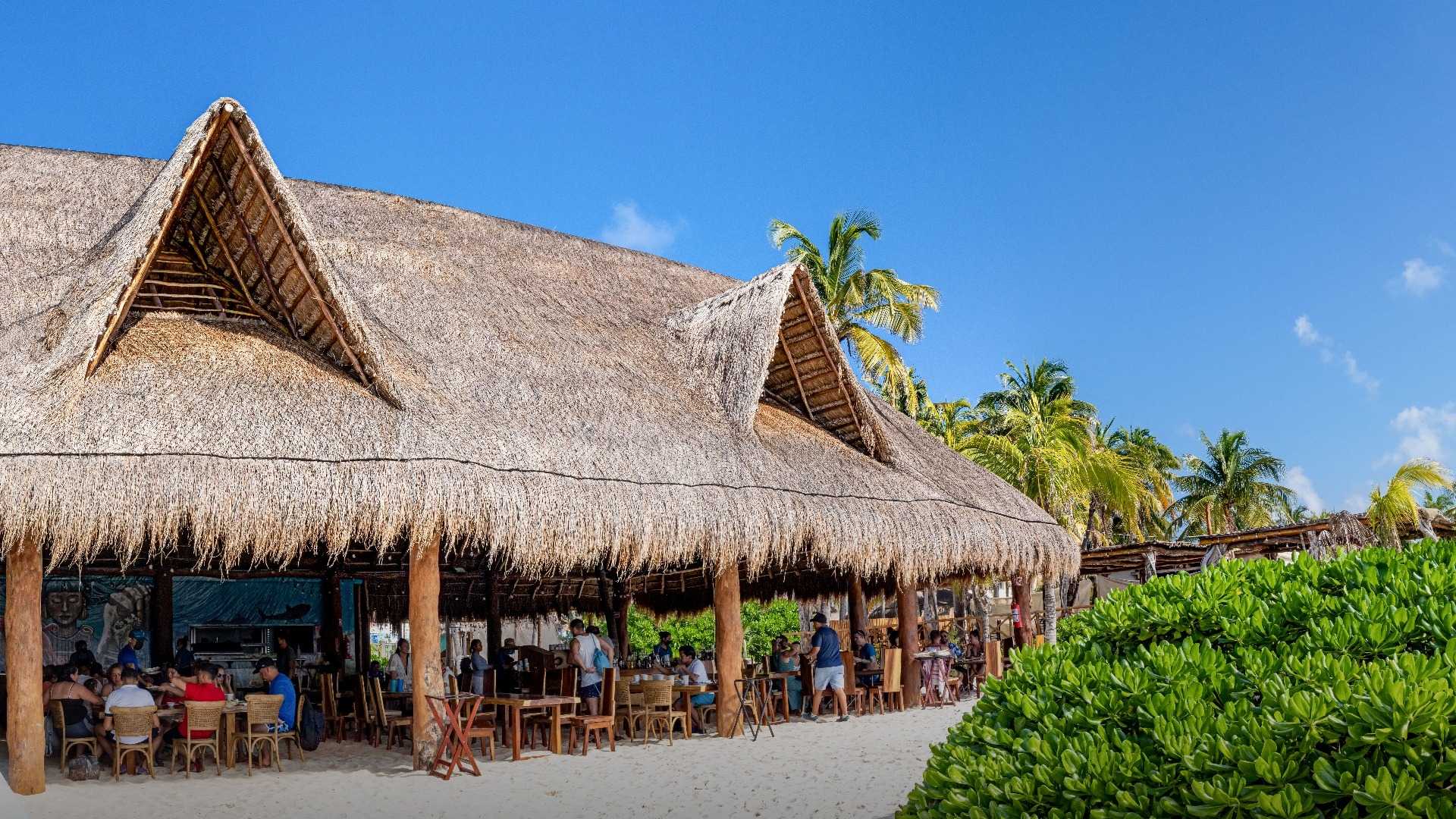 06-IXI Beach-palapa-1