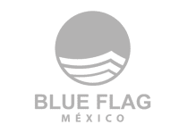 Logo-Blue-Flag-Cancun-Sailing-Grey-1