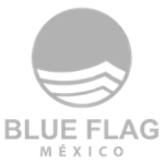 Low Logo Blue Flag Grey