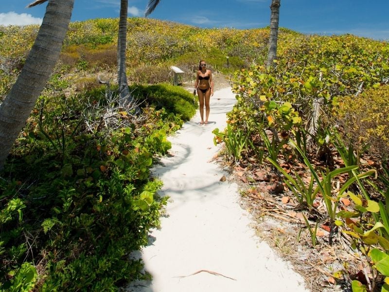 Dunas de Isla Contoy