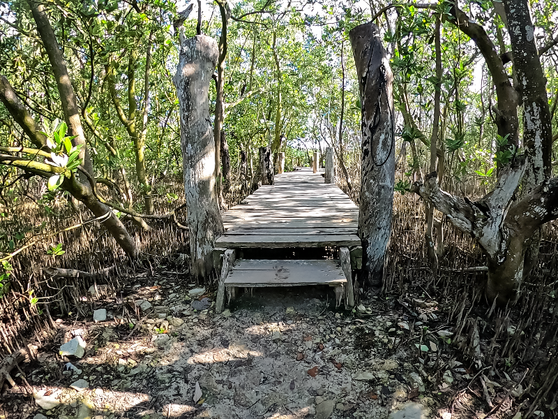 Senderos de Isla Contoy