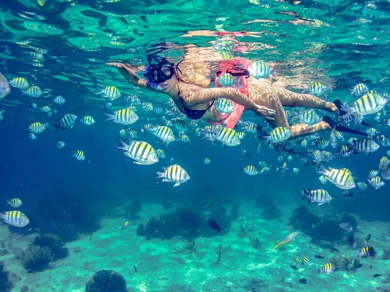 Snorkel en arrecife de Isla Mujeres para verano