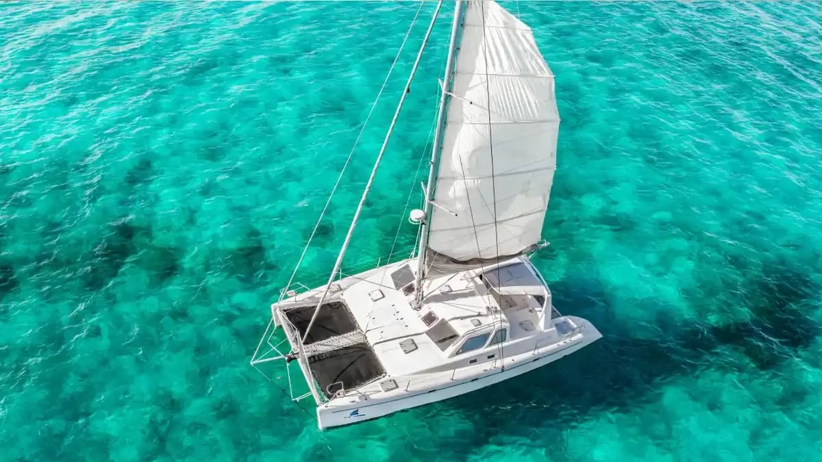 Paradise Explorer  full view