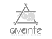 Logo-Avante-Cancun-Sailing-Grey-1