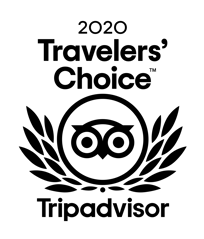 TC_2020_L_TRANSPARENT_BG_RGB