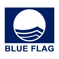 blue-flag-1