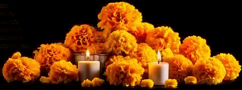floresvelas