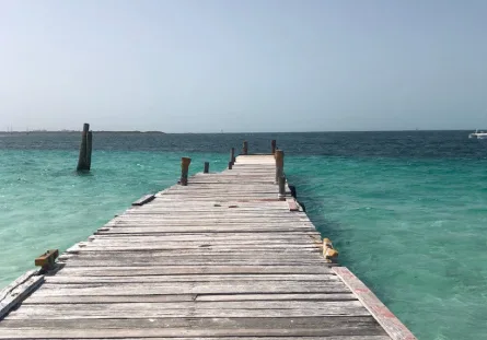 Impuesto de muelle