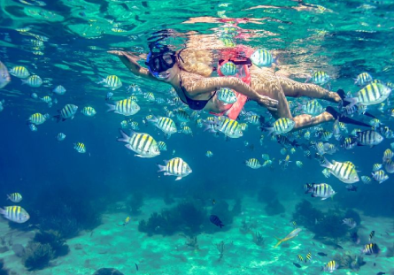 Snorkel on isla mujeres