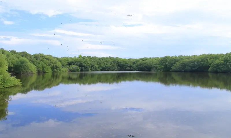 Isla Contoy Lagoon