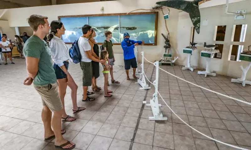 Isla contoy museum