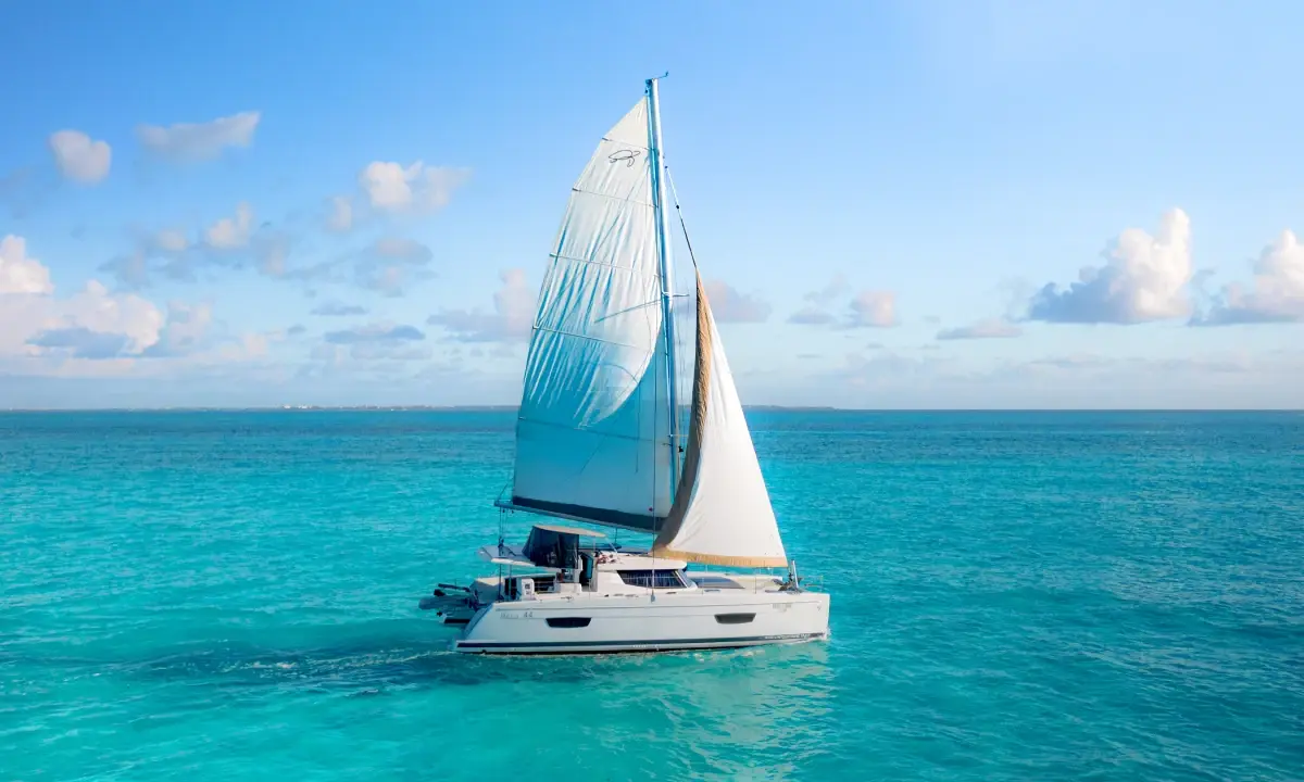 palilu catamaran privilege